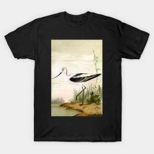 Vintage Avocet T-Shirt